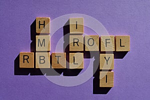 ROFL, FYI, IRL, HMB and RBTL abbreviations as crossword photo