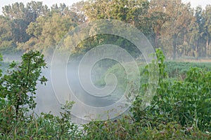 Rogalin Landscape Park - oxbow lake in the mist in sunrise-dawn