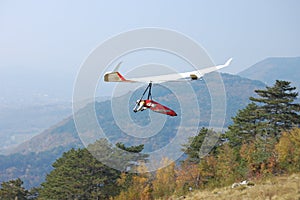 Rogallo wing hang glider