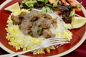 Rogan josh meal closeup