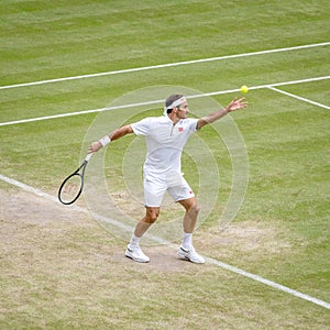 Roger Federer at Wimbledon