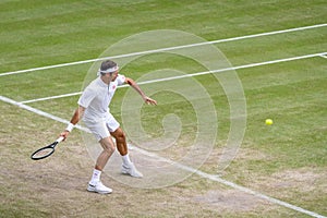 Roger Federer at Wimbledon
