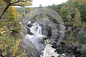 Rogie Falls / Waterfall