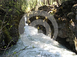 Rogue River Gorge