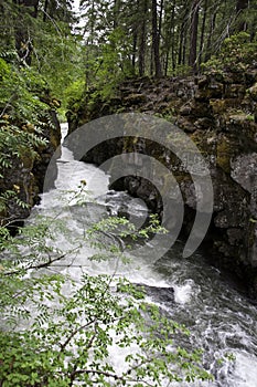 Rogue River Gorge, Oregon photo