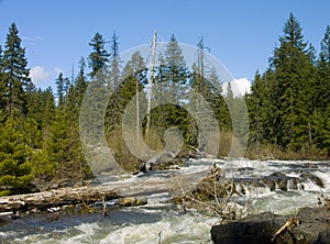 Rogue River - Union Creek, Oregon photo