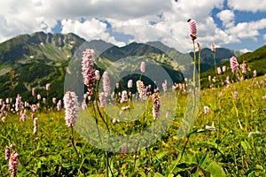 Rohace Mountains in Slovakia