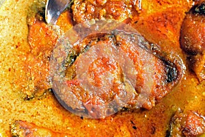 Rohu fish kalia - a spicy Bengali dish