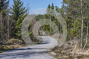 In Rokke forest, gravel road