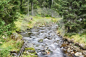 Roklansky brook near the village Modrava in Sumava National Park in early autumn. Czechia, Europe