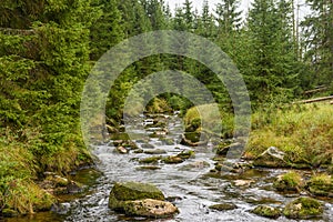 Roklansky brook in Sumava National Park in early autumn. Czechia, Europe