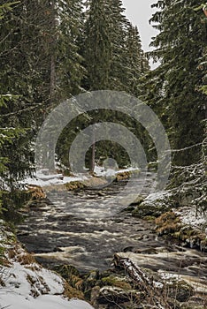 Roklansky creek near Modrava village in national park Sumava