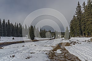 Roklansky creek near Modrava village in national park Sumava