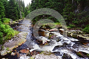 Roklansky creek in Sumava, Czech Republic