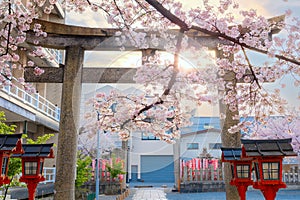 Rokusonno shrine built in 963, enshrines MInamota no Tsunemoto the 6th grandson of Emperor Seiwa. It