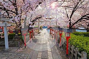 Rokusonno shrine built in 963, enshrines MInamota no Tsunemoto the 6th grandson of Emperor Seiwa. It