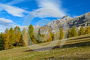Dolomite mountains in autumn with yellow trees