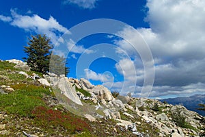 Roky green hill mountain landscape on sunny summer day