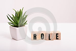 Role Word Written In Wooden Cube on white background.