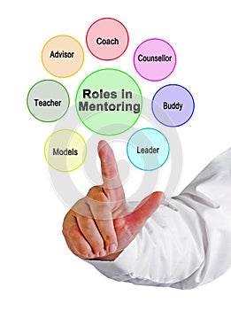 Roles assumed by mentor