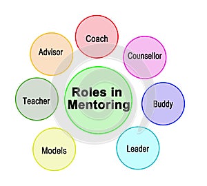 Roles assumed by mentor photo