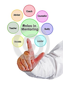 Roles assumed by mentor photo