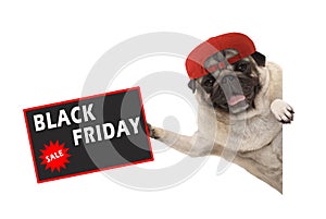 Rolic pug puppy dog with red cap, holding up sale sign with text Black Friday, hanging sideways from white banner