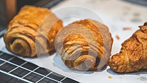 Roll Croissant Baked Bread With Raisin photo