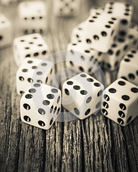 Roll of the Dice