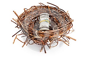 Roll of dollar bills in birds nest on white