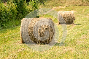 A roll of harvested hay in a pasture. Bale of dry straw on a farm