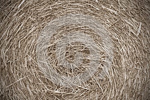 Roll of hay