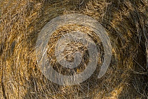 Roll of hay close up