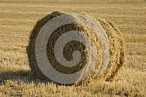 Roll of hay.