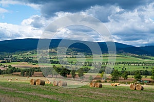 roll of hay lying on the background of beautiful landscape