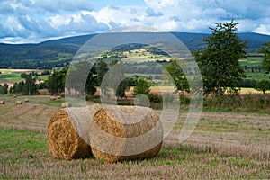 roll of hay lying on the background of beautiful landscape