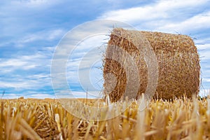 Roll of hay lying on a beveled field