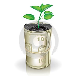 Roll of money and growing plant