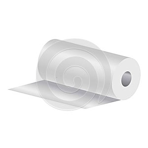 Roll of paper towels