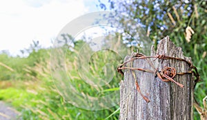 Roll of rusty barbed wire