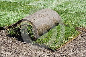 Roll of sod and green grass