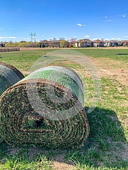 Roll of sod ready for installation at a construction site