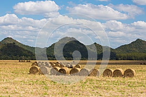 Roll straw farmland