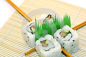 Roll Sushi structured over white