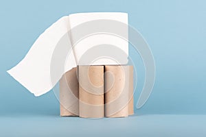 A roll of toilet paper on cardboard toilet paper rolls.