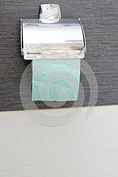 Roll of toilet paper holder in the toilet