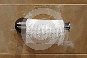 Roll of toilet paper on wall mounted holder