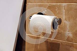 Roll of toilet paper on wall mounted holder