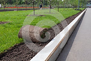 Roll of turf or turfgrass, close-up. Landscaping of territory in the park