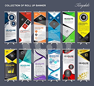 Roll Up Banner template Collection, stand display template vector